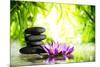 Spa Still Life with Lotus and Zen Stone on Water,Bamboo Background.-Liang Zhang-Mounted Photographic Print