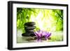 Spa Still Life with Lotus and Zen Stone on Water,Bamboo Background.-Liang Zhang-Framed Photographic Print