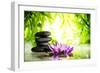 Spa Still Life with Lotus and Zen Stone on Water,Bamboo Background.-Liang Zhang-Framed Photographic Print