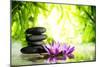 Spa Still Life with Lotus and Zen Stone on Water,Bamboo Background.-Liang Zhang-Mounted Photographic Print