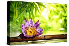 Spa Still Life with Lotus Float on Water,Bamboo Background.-Liang Zhang-Stretched Canvas
