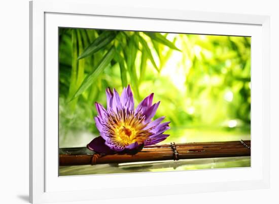 Spa Still Life with Lotus Float on Water,Bamboo Background.-Liang Zhang-Framed Photographic Print