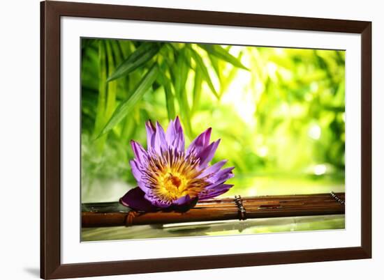 Spa Still Life with Lotus Float on Water,Bamboo Background.-Liang Zhang-Framed Photographic Print