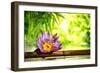 Spa Still Life with Lotus Float on Water,Bamboo Background.-Liang Zhang-Framed Photographic Print