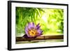 Spa Still Life with Lotus Float on Water,Bamboo Background.-Liang Zhang-Framed Photographic Print