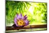 Spa Still Life with Lotus Float on Water,Bamboo Background.-Liang Zhang-Mounted Photographic Print