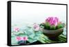 Spa Still Life with Lotus for Body Treatment-Liang Zhang-Framed Stretched Canvas