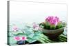 Spa Still Life with Lotus for Body Treatment-Liang Zhang-Stretched Canvas