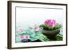 Spa Still Life with Lotus for Body Treatment-Liang Zhang-Framed Photographic Print