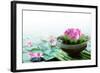 Spa Still Life with Lotus for Body Treatment-Liang Zhang-Framed Photographic Print