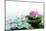 Spa Still Life with Lotus for Body Treatment-Liang Zhang-Mounted Photographic Print