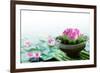 Spa Still Life with Lotus for Body Treatment-Liang Zhang-Framed Photographic Print