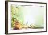 Spa Still Life with Stacked of Stone,Burning Candle and Bamboo Leaf-Liang Zhang-Framed Photographic Print