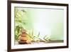 Spa Still Life with Stacked of Stone,Burning Candle and Bamboo Leaf-Liang Zhang-Framed Photographic Print