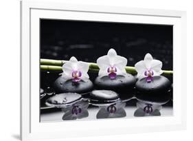 Spa Still Life with Three Orchid and Zen Stones with Bamboo Grove Reflection-crystalfoto-Framed Photographic Print