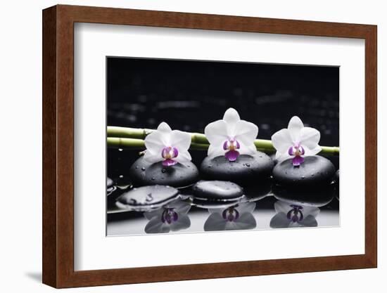 Spa Still Life with Three Orchid and Zen Stones with Bamboo Grove Reflection-crystalfoto-Framed Photographic Print