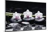 Spa Still Life with Three Orchid and Zen Stones with Bamboo Grove Reflection-crystalfoto-Mounted Photographic Print