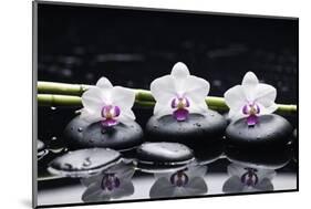 Spa Still Life with Three Orchid and Zen Stones with Bamboo Grove Reflection-crystalfoto-Mounted Photographic Print