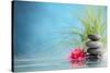 Spa Still Life with Water Lily and Zen Stone in a Serenity Pool-Sofiaworld-Stretched Canvas