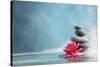 Spa Still Life with Water Lily and Zen Stone in a Serenity Pool-Sofiaworld-Stretched Canvas