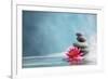 Spa Still Life with Water Lily and Zen Stone in a Serenity Pool-Sofiaworld-Framed Photographic Print