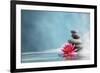 Spa Still Life with Water Lily and Zen Stone in a Serenity Pool-Sofiaworld-Framed Photographic Print