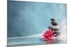 Spa Still Life with Water Lily and Zen Stone in a Serenity Pool-Sofiaworld-Mounted Photographic Print