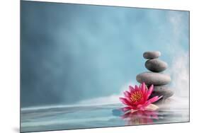 Spa Still Life with Water Lily and Zen Stone in a Serenity Pool-Sofiaworld-Mounted Photographic Print