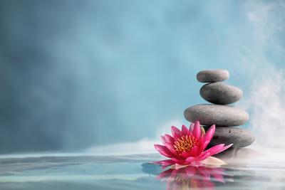 Spa Still Life With Water Lily And Zen Stone In A Serenity Pool Photographic Print Sofiaworld Allposters Com