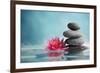 Spa Still Life with Water Lily and Zen Stone in a Serenity Pool-Liang Zhang-Framed Photographic Print