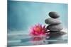 Spa Still Life with Water Lily and Zen Stone in a Serenity Pool-Liang Zhang-Mounted Photographic Print