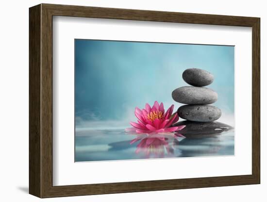 Spa Still Life with Water Lily and Zen Stone in a Serenity Pool-Liang Zhang-Framed Photographic Print