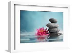 Spa Still Life with Water Lily and Zen Stone in a Serenity Pool-Liang Zhang-Framed Photographic Print