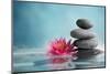 Spa Still Life with Water Lily and Zen Stone in a Serenity Pool-Liang Zhang-Mounted Photographic Print