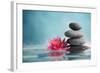 Spa Still Life with Water Lily and Zen Stone in a Serenity Pool-Liang Zhang-Framed Photographic Print