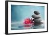 Spa Still Life with Water Lily and Zen Stone in a Serenity Pool-Liang Zhang-Framed Photographic Print