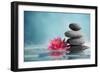 Spa Still Life with Water Lily and Zen Stone in a Serenity Pool-Liang Zhang-Framed Photographic Print