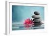 Spa Still Life with Water Lily and Zen Stone in a Serenity Pool-Liang Zhang-Framed Photographic Print