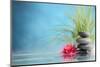 Spa Still Life with Water Lily and Zen Stone in a Serenity Pool-Sofiaworld-Mounted Photographic Print