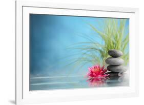 Spa Still Life with Water Lily and Zen Stone in a Serenity Pool-Sofiaworld-Framed Photographic Print