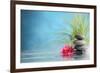 Spa Still Life with Water Lily and Zen Stone in a Serenity Pool-Sofiaworld-Framed Photographic Print