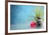 Spa Still Life with Water Lily and Zen Stone in a Serenity Pool-Sofiaworld-Framed Photographic Print