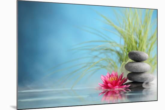 Spa Still Life with Water Lily and Zen Stone in a Serenity Pool-Sofiaworld-Mounted Photographic Print