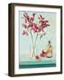 Spa Time-Anastasia Ricci-Framed Art Print