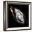 Space Art-Florent Bodart-Framed Giclee Print