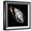 Space Art-Florent Bodart-Framed Giclee Print