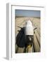 space-based unmanned X-37B-null-Framed Art Print