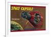 Space Capsule Gemini-null-Framed Premium Giclee Print