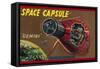 Space Capsule Gemini-null-Framed Stretched Canvas