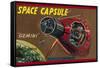 Space Capsule Gemini-null-Framed Stretched Canvas